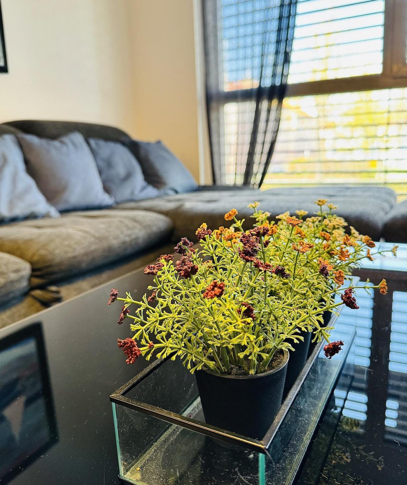 Brand New Apartment, Top Location-Near Vic/Danube Виена Екстериор снимка